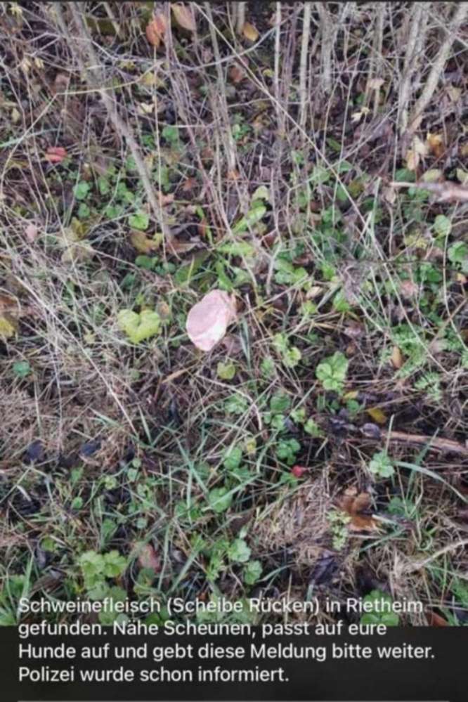 Giftköder-Evtl. Giftköder-Profilbild