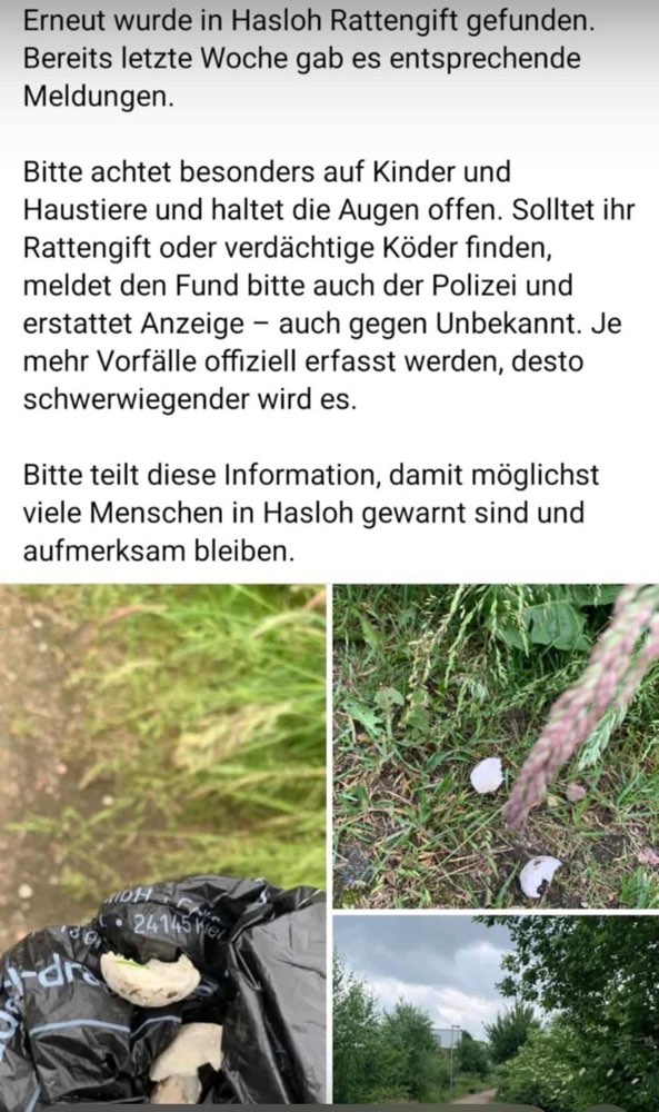 Giftköder-Rattengift-Profilbild