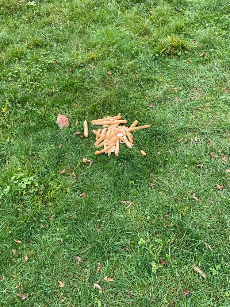 Giftköder-Würstchen mit blauen Flecken-Profilbild