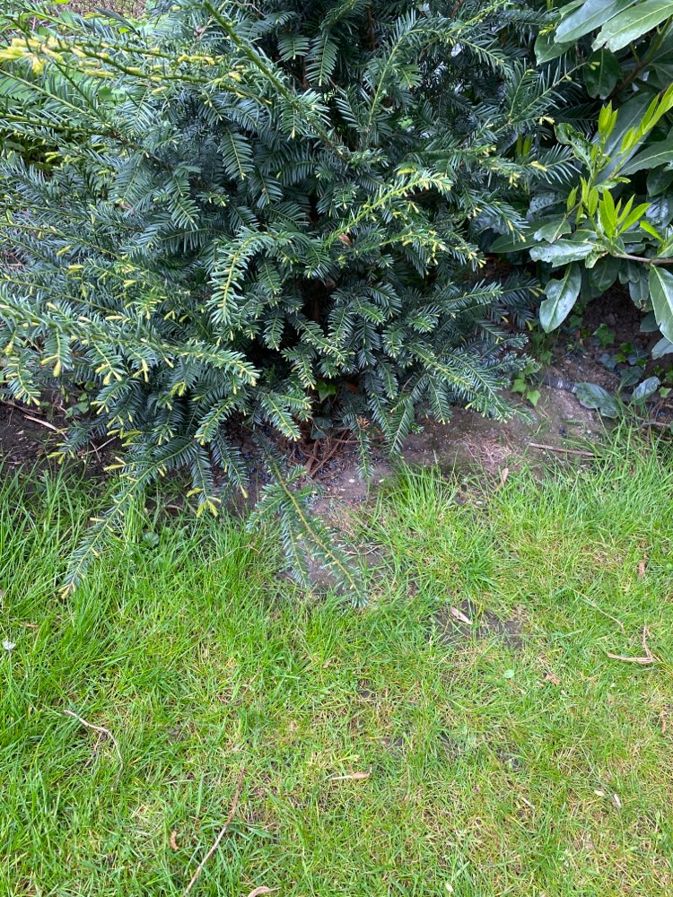 Giftköder-Schneckenkorn!-Profilbild