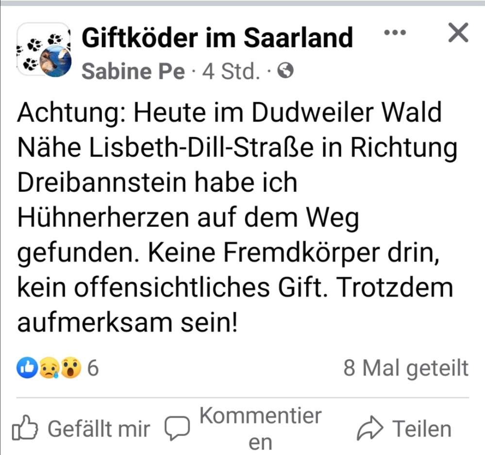 Giftköder-Giftköder-Profilbild