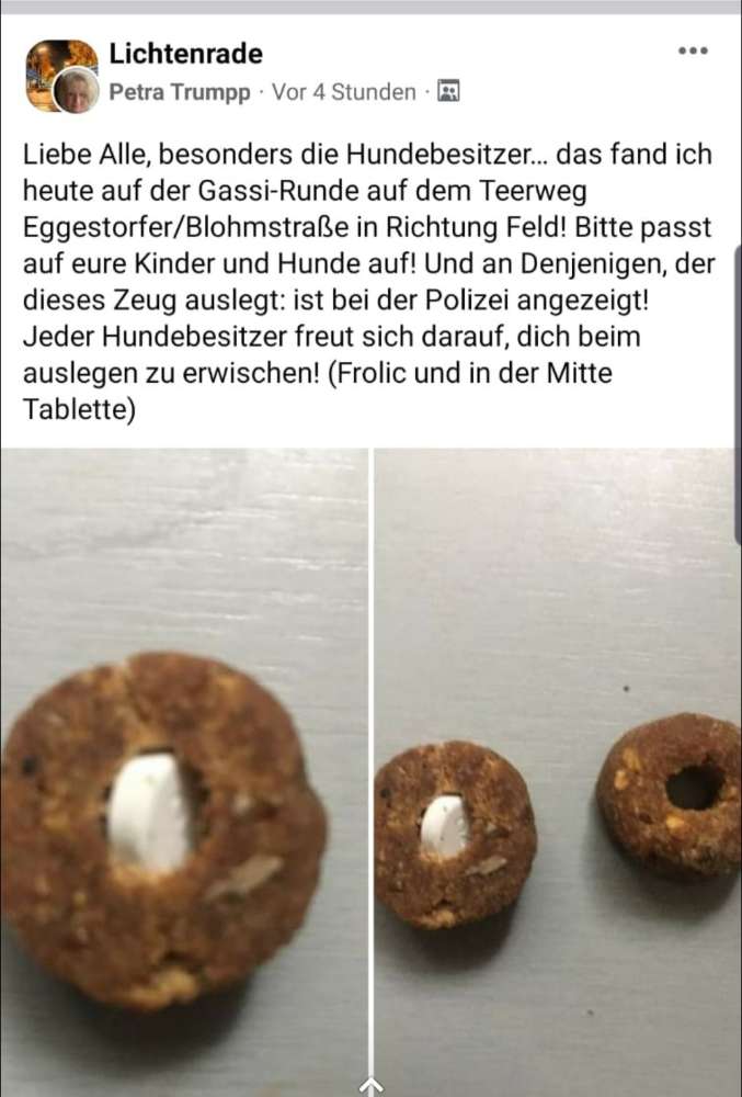 Giftköder-Tabletten in Frolic-Profilbild