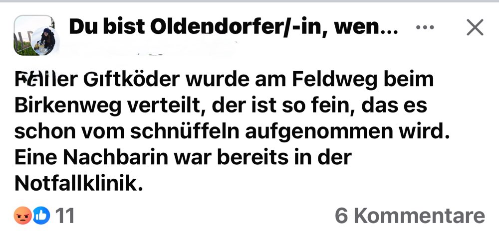 Giftköder-Giftköder-Profilbild