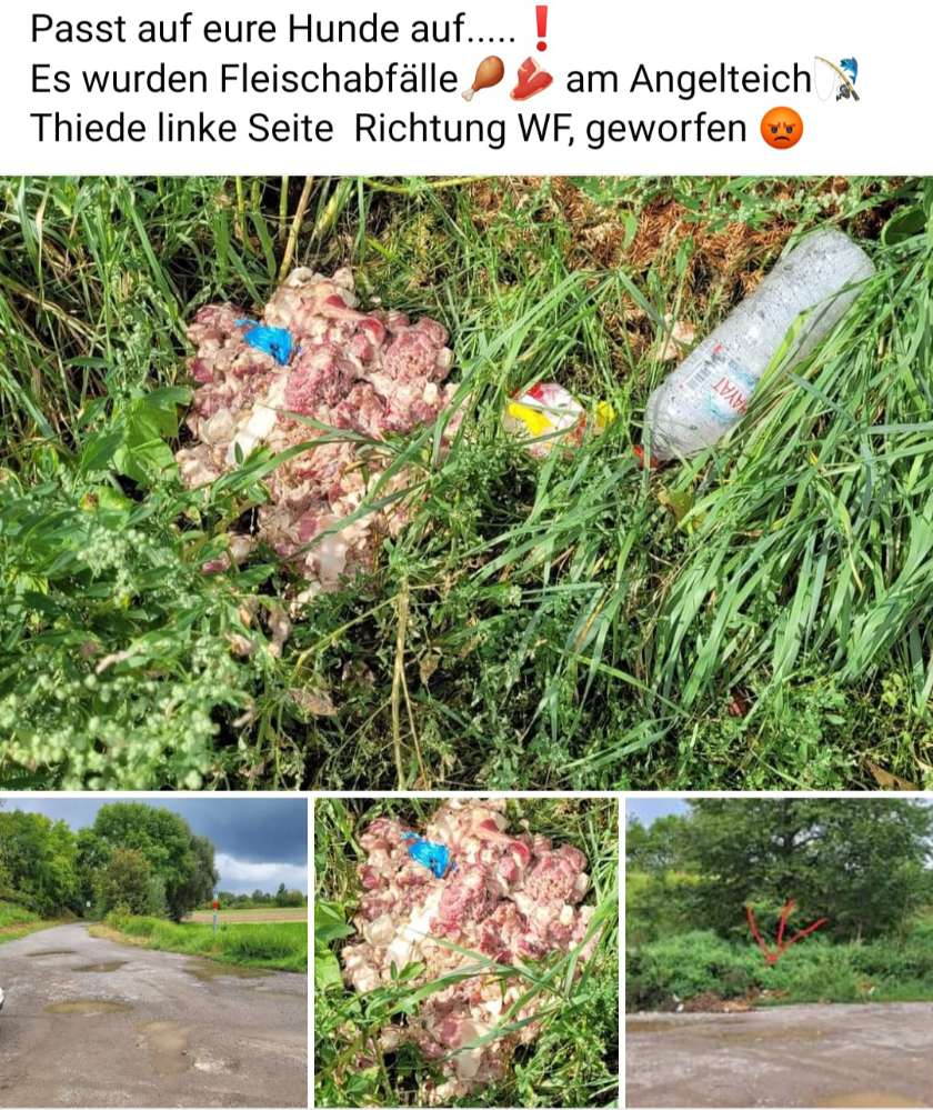 Giftköder-Fleisch abgeworfen-Profilbild