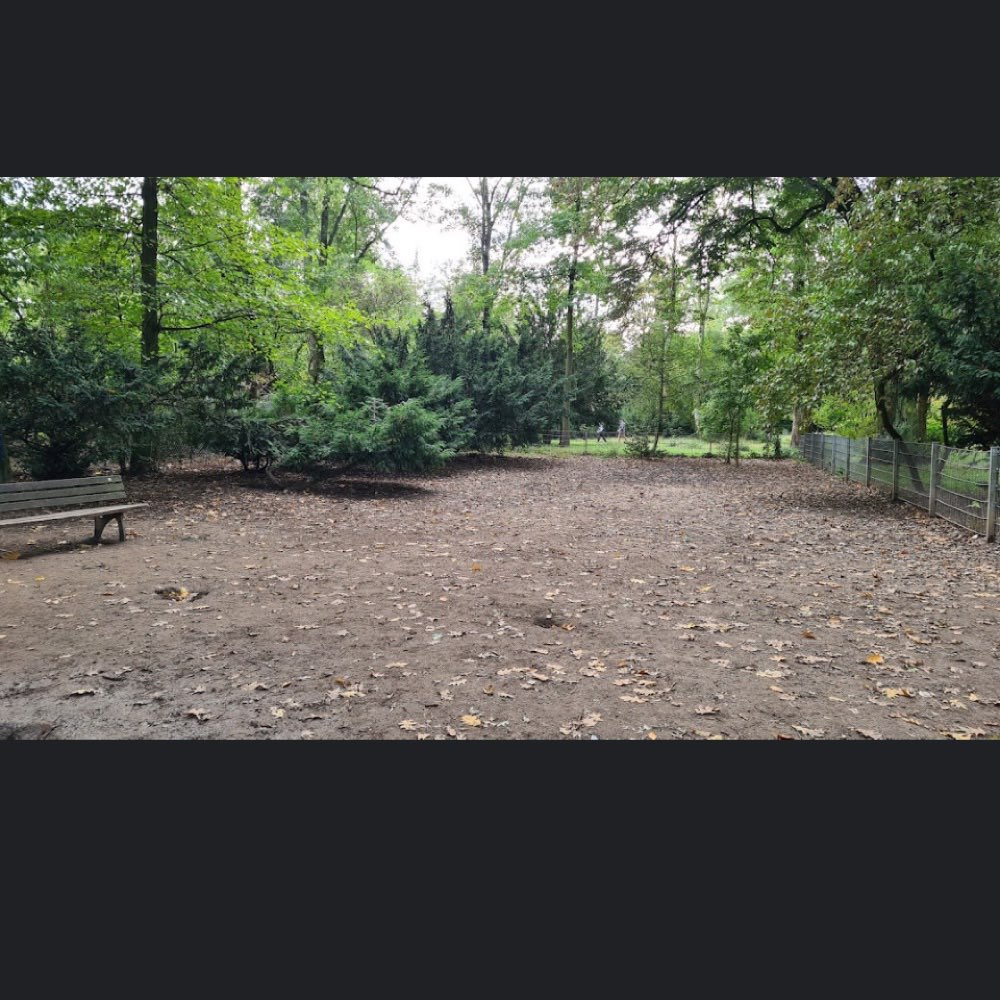 Hundetreffen-BIG DOGS OBERBILK,-Profilbild