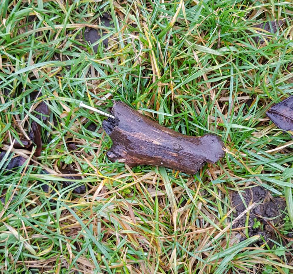 Giftköder-Baumstücke mit Schrauben-Profilbild