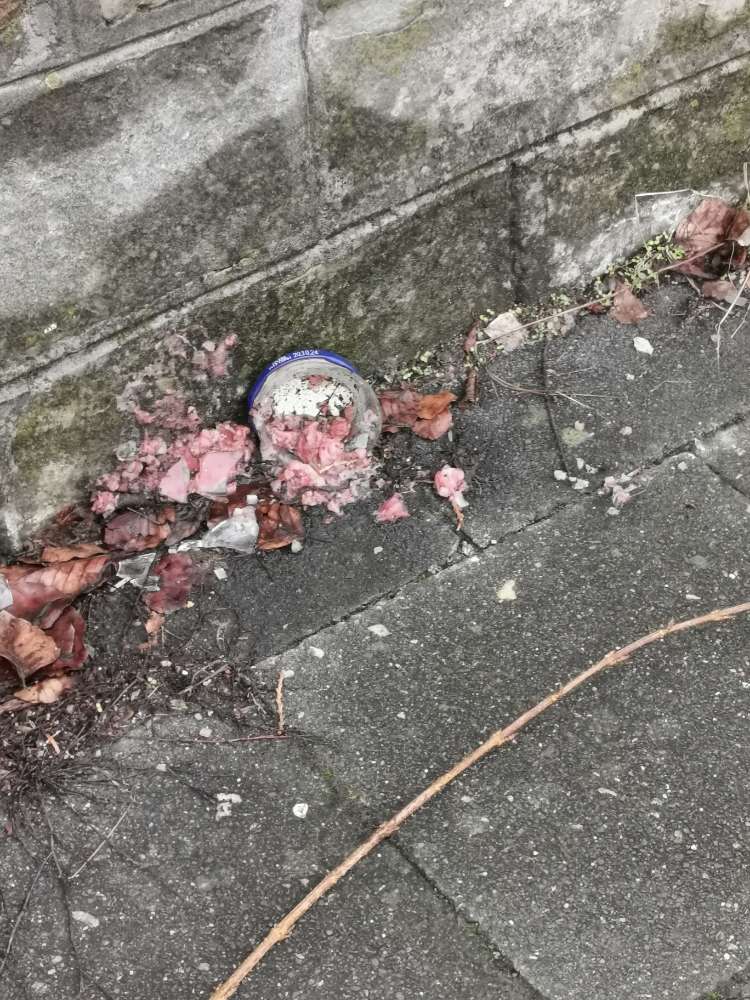 Giftköder-zerbrochenes Glas mit Fleisch-Profilbild