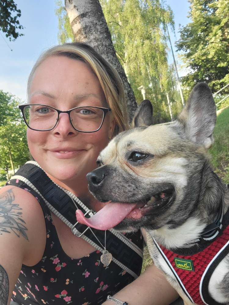 Hundetreffen-Gassi- oder Spieletreffen-Profilbild