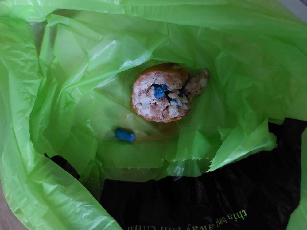 Giftköder-Giftköder-Profilbild