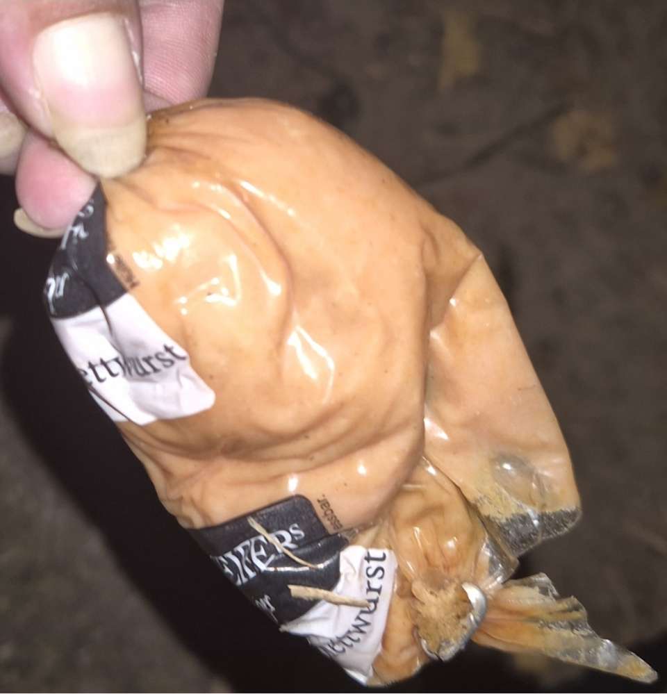 Giftköder-Evtl Leberwurst als Giftköder-Profilbild