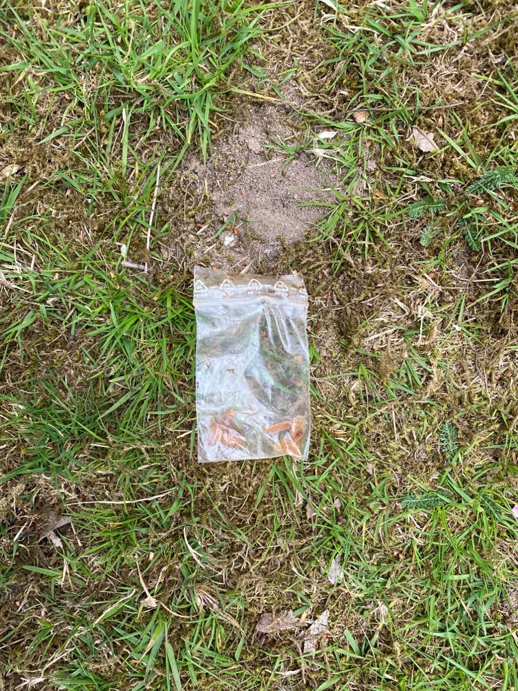 Giftköder-Tüte mit unbekannter Substanz-Profilbild