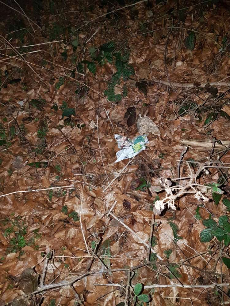 Giftköder-Wahrscheinlich Giftköder-Profilbild