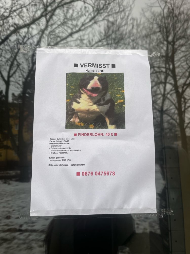 Suchmeldung-Sigu-Profilbild