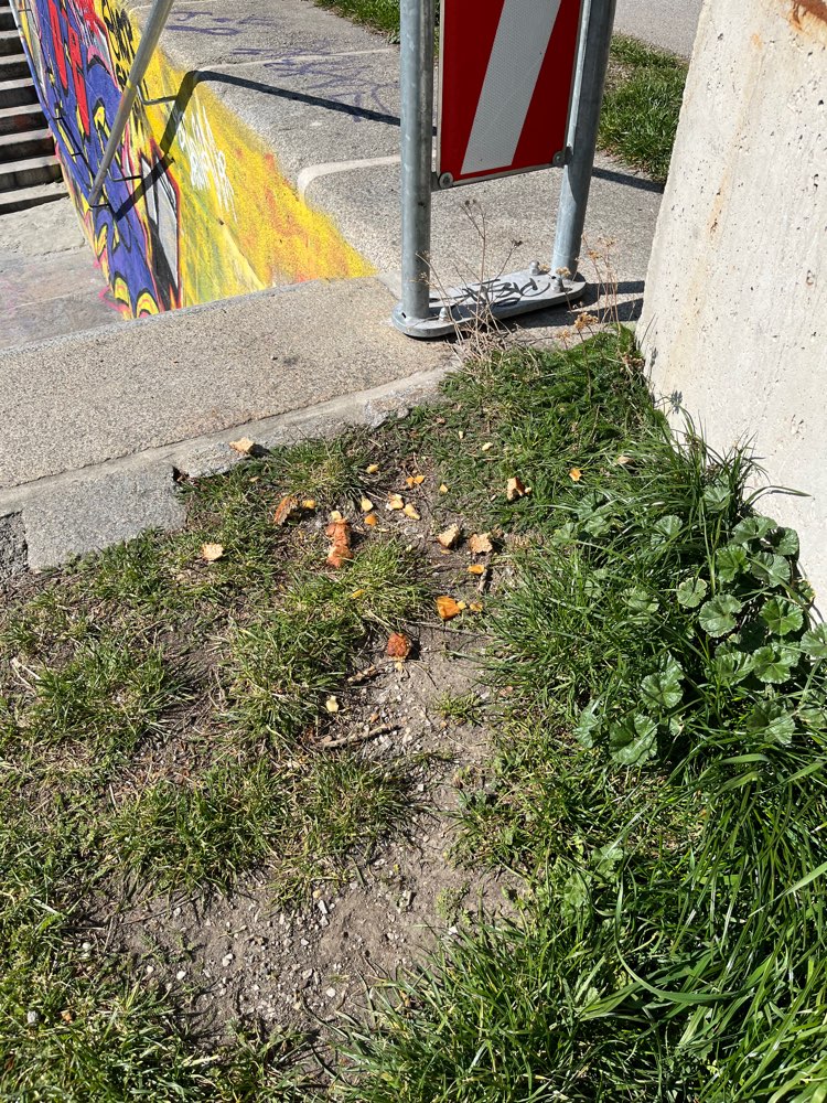 Giftköder-Möglicher Giftköder-Profilbild