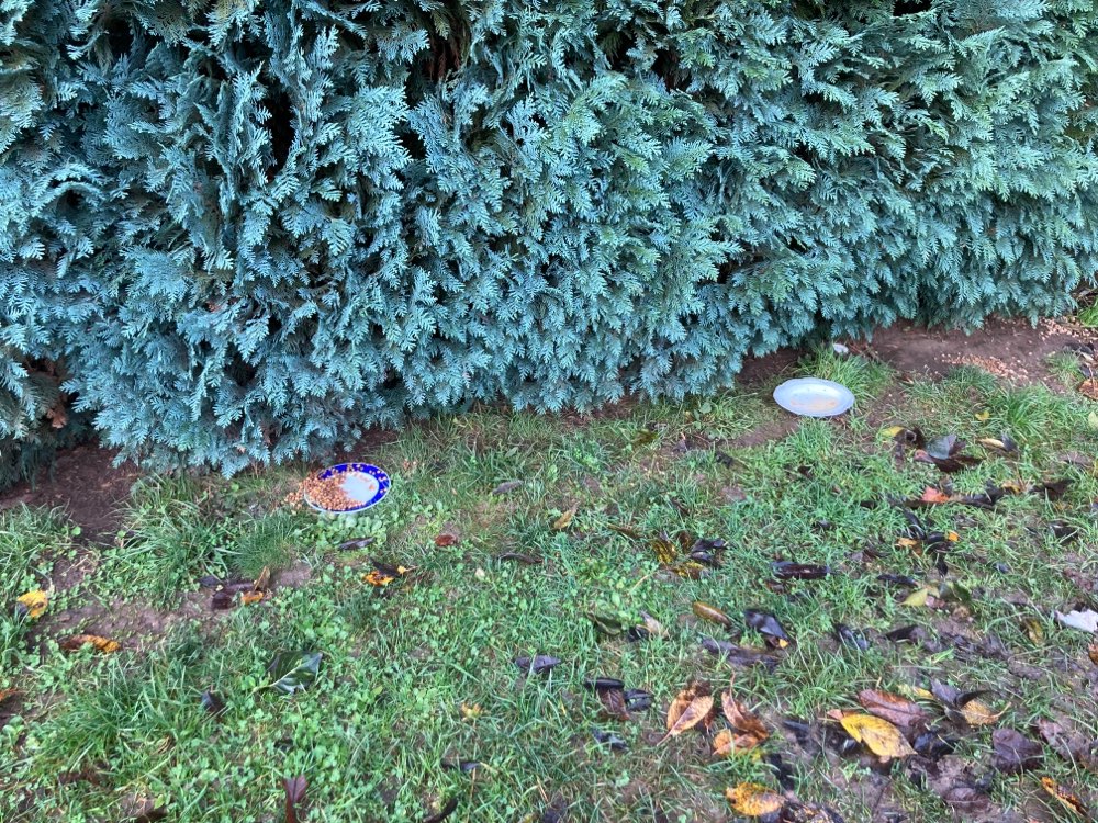 Giftköder-Futter-Profilbild