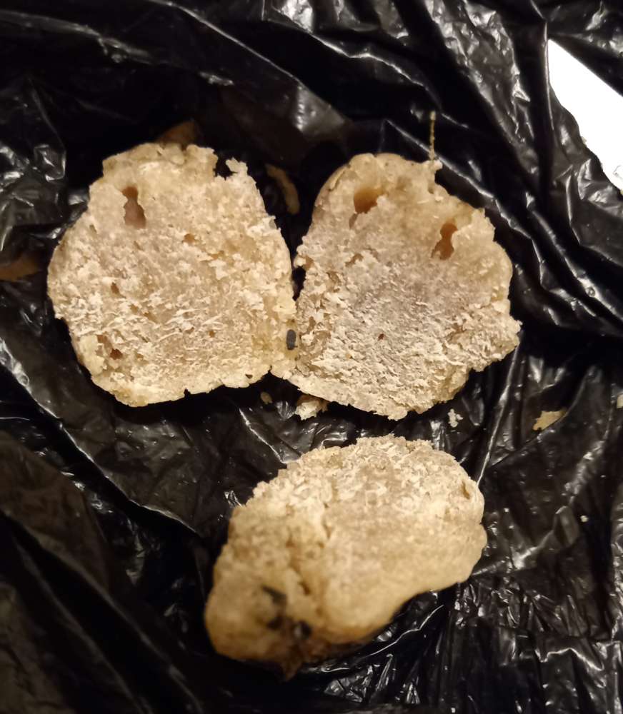 Giftköder-"Klumpen" mit Nagel?-Profilbild