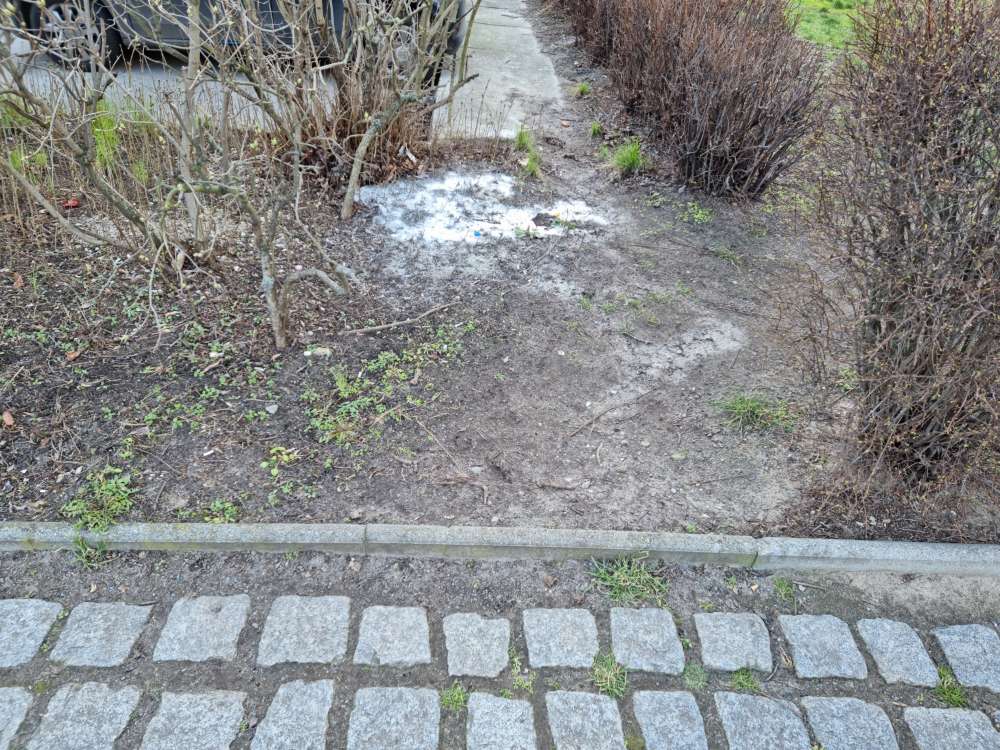 Giftköder-Weisses Pulver-Profilbild