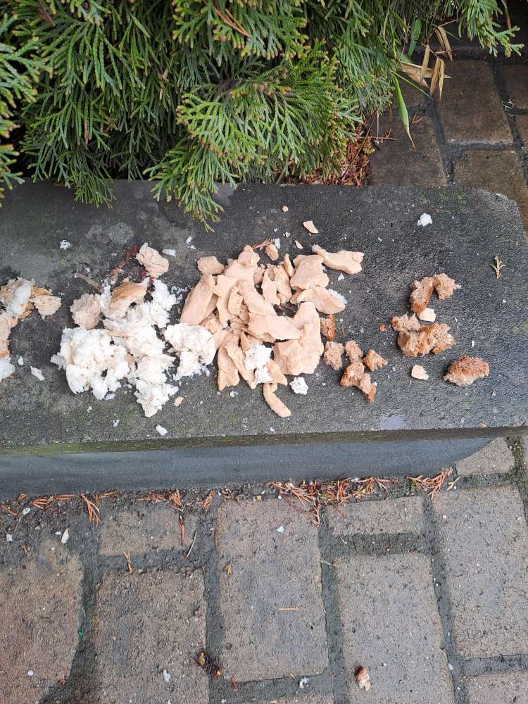 Giftköder-Giftköder-Profilbild