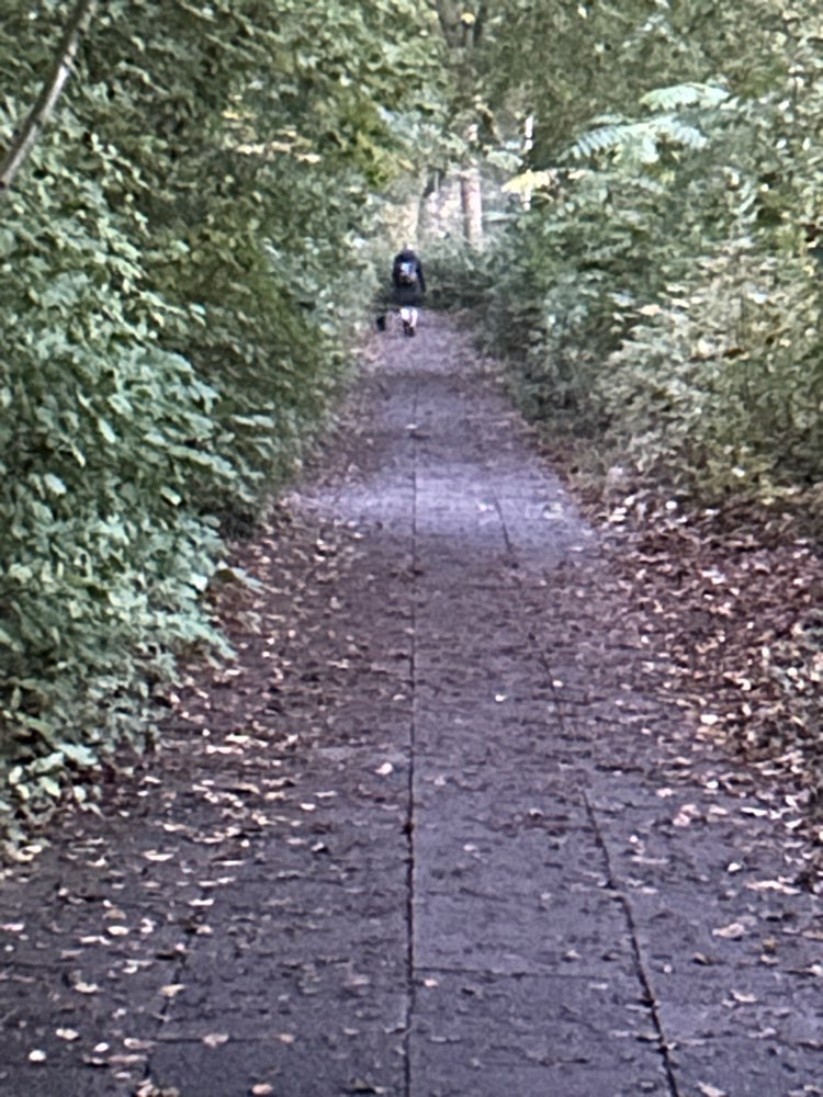 Giftköder-Unfreundliche Frau mit kleinem Hund-Profilbild