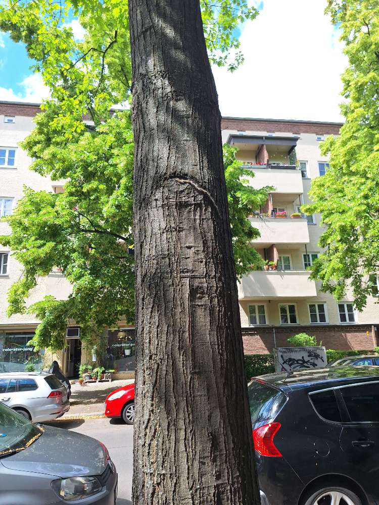 Giftköder-EPS Bingerstraße-Profilbild