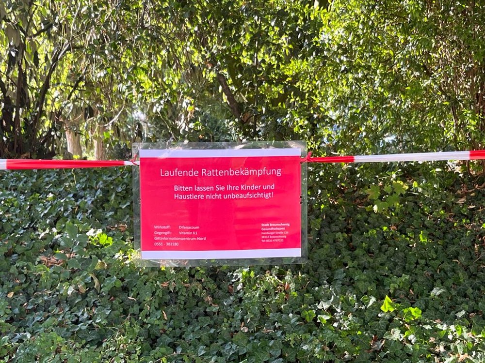 Giftköder-Ratten Bekämpfung-Profilbild