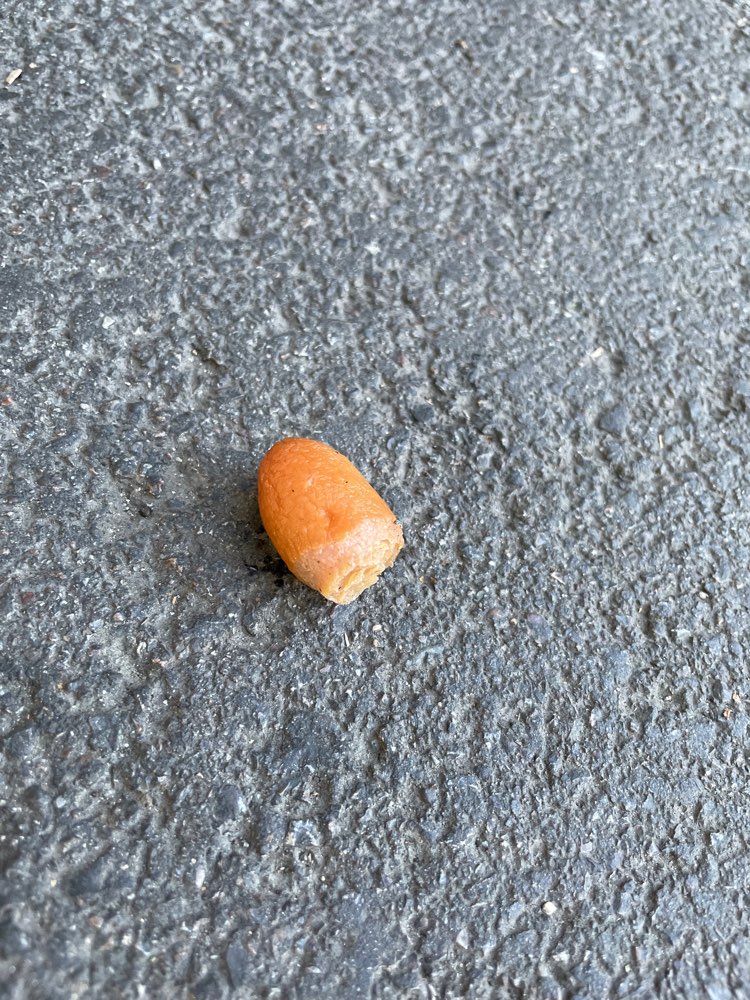 Giftköder-Wurststücke-Profilbild