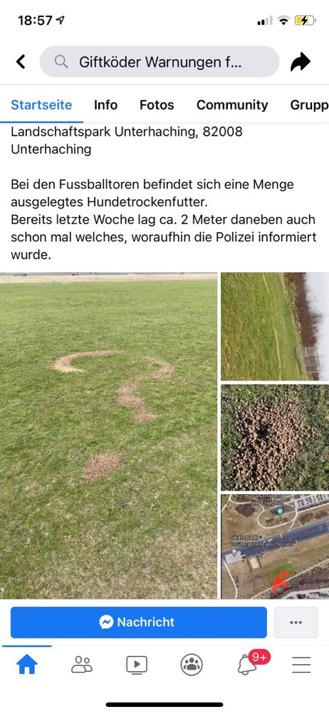 Giftköder-Ausgestreutes Futter-Profilbild