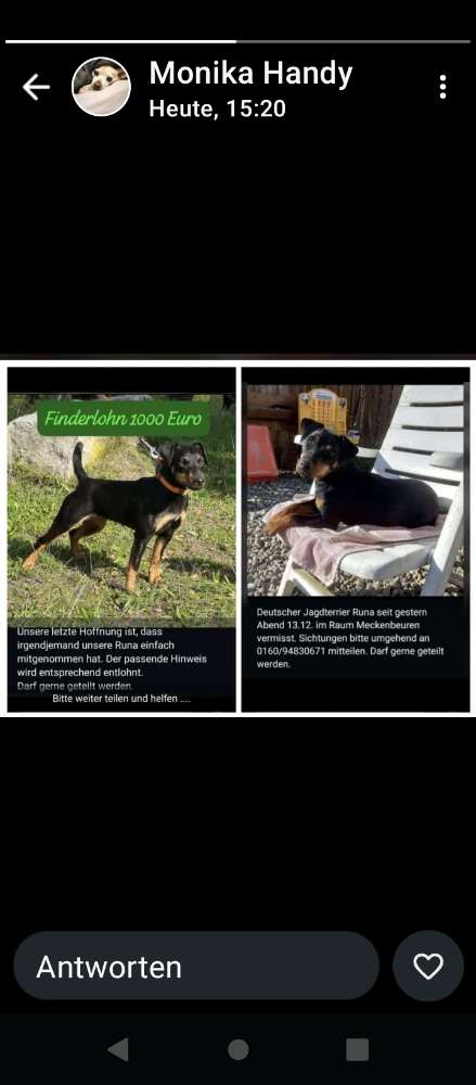 Suchmeldung-Runa-Profilbild