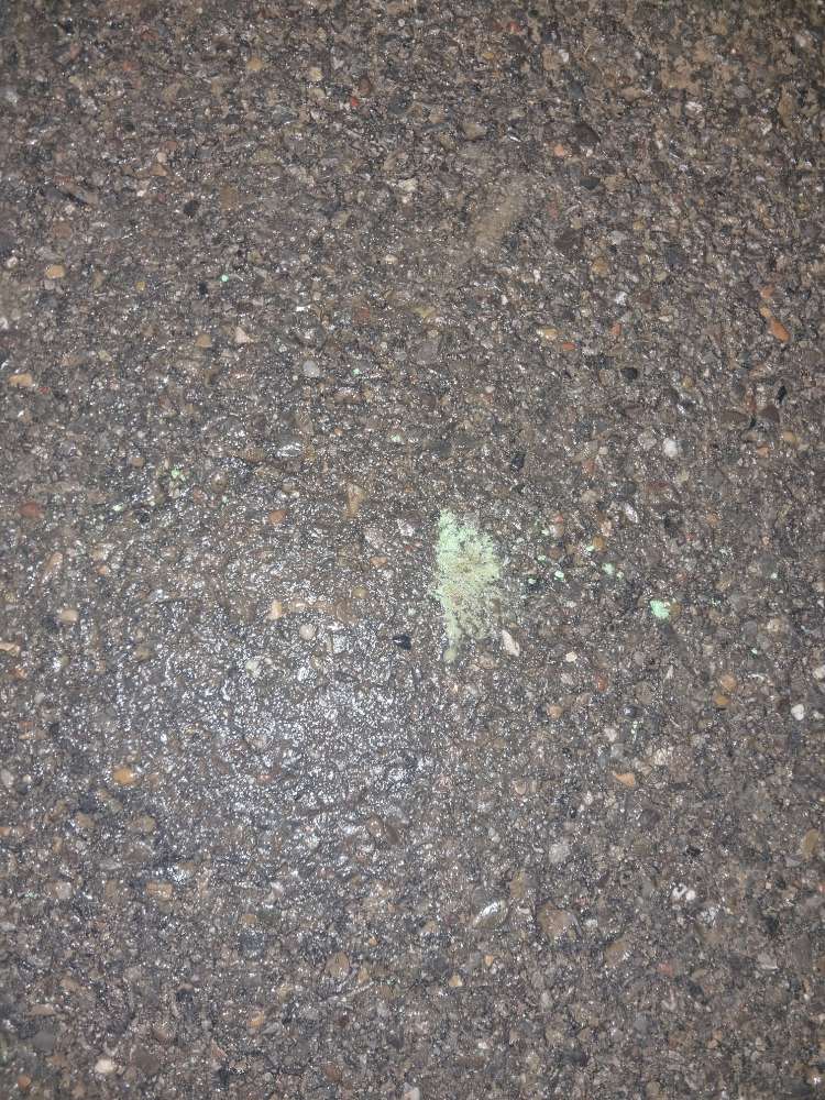 Giftköder-Vielleicht Rattengift/Dünger?-Profilbild