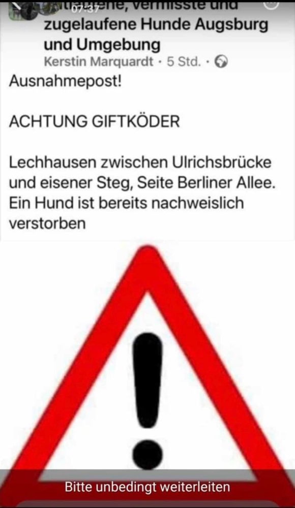 Giftköder-Giftköder-Profilbild