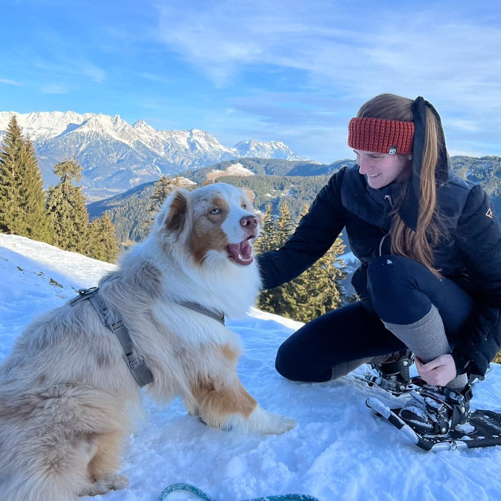 Hundetreffen-Biete kostenloses Hundesitting / Gassirunde-Profilbild
