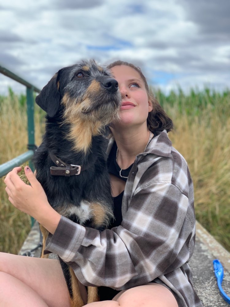 Hundetreffen-Gassirunde/ toben etc.-Profilbild