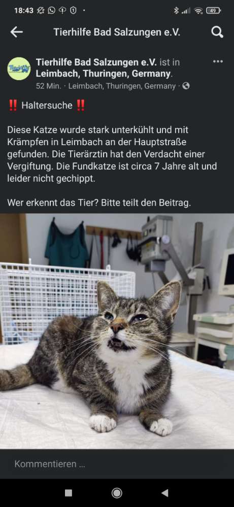 Giftköder-Vermutlich vergiftete Katze-Profilbild