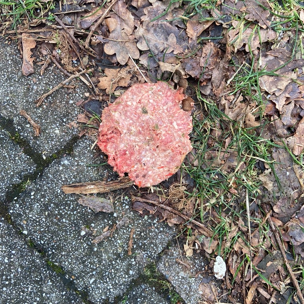 Giftköder-Hackfleisch am Wegesrand-Profilbild