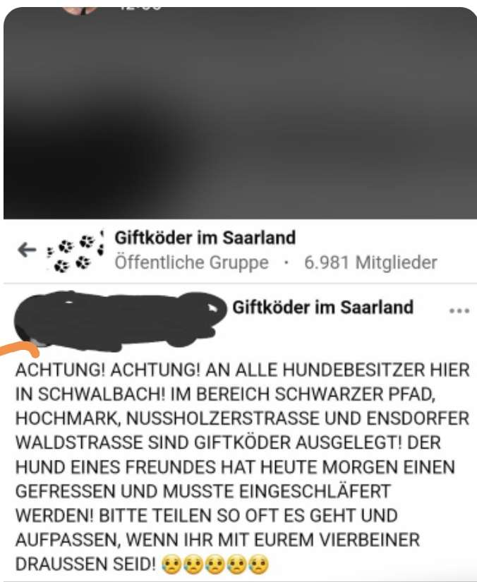 Giftköder-Giftköder-Profilbild