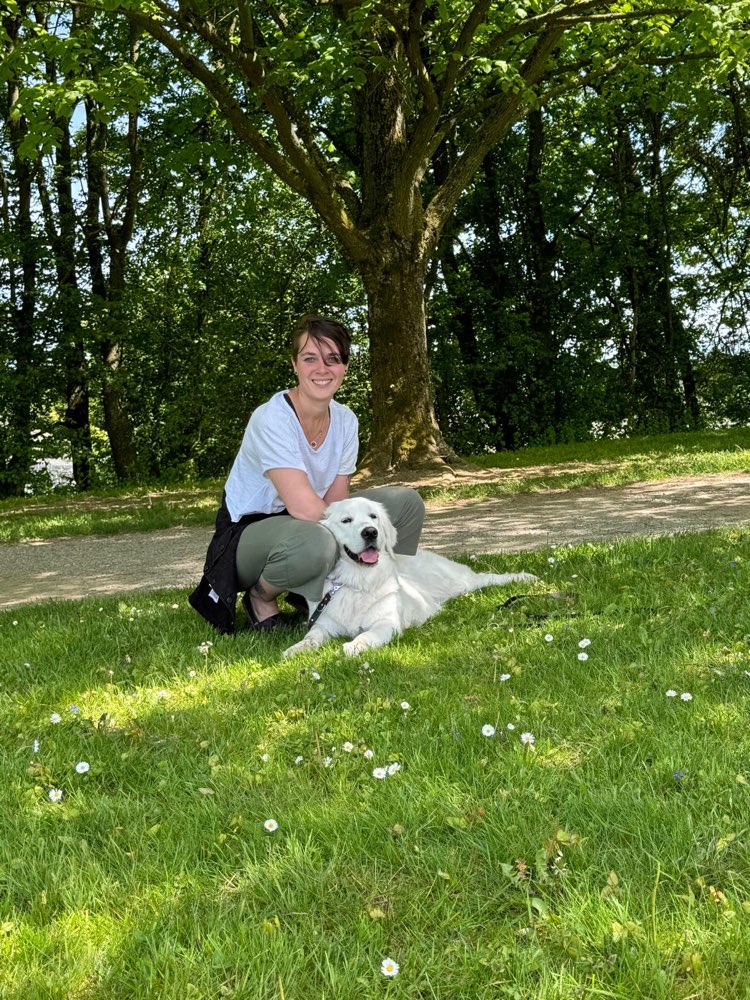 Hundetreffen-Hundefreunde kennenlernen-Profilbild