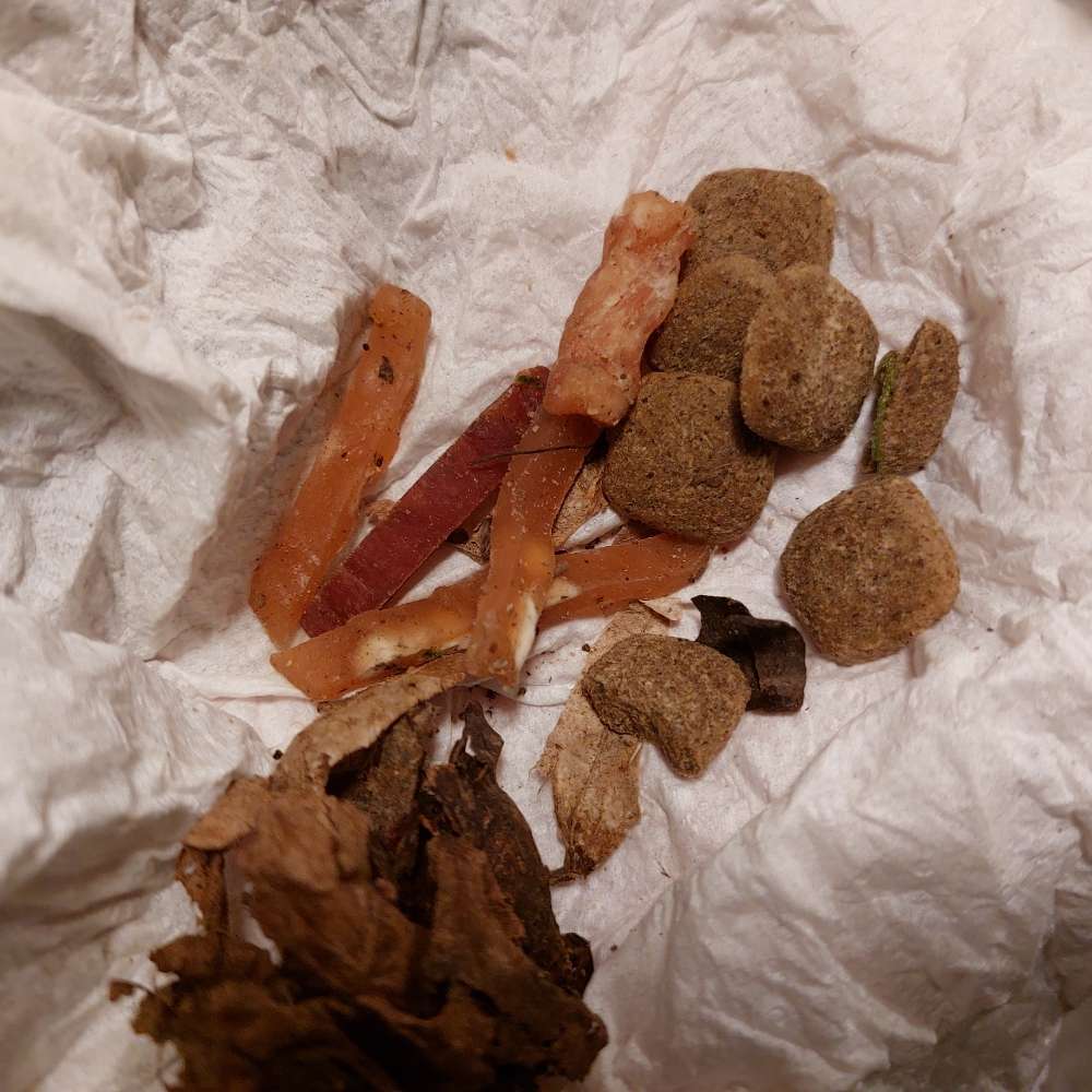 Giftköder-Undefinierbare Leckerlis-Profilbild