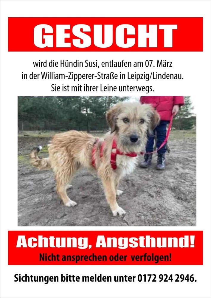 Suchmeldung-Susi-Profilbild