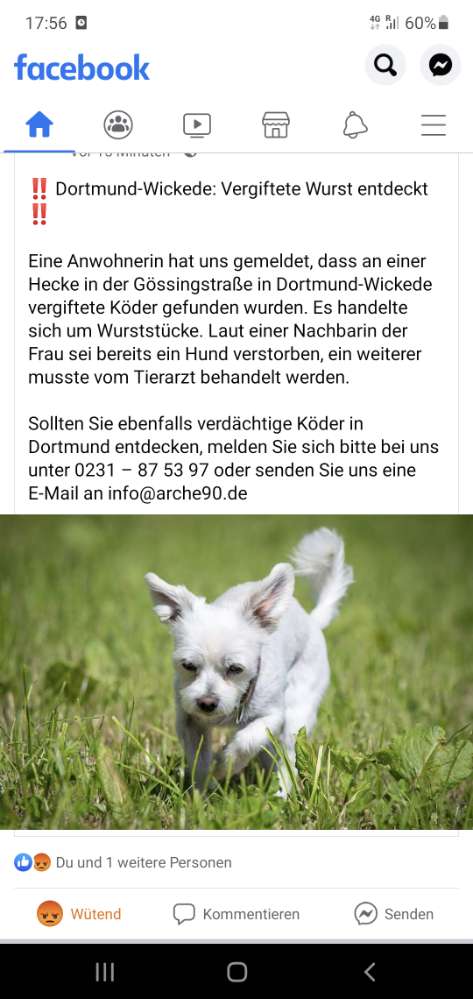 Giftköder-Vergiftete Wurststücke-Profilbild