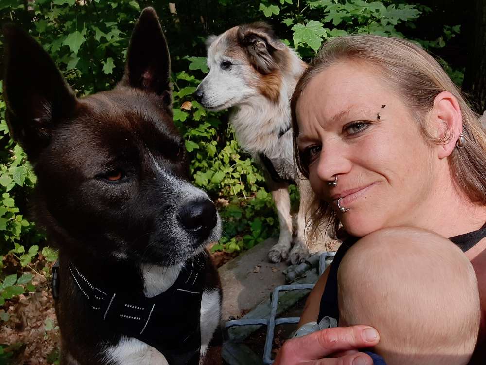 Hundetreffen-Socialwalk, Tobe - und/ oder Gassirunde-Profilbild