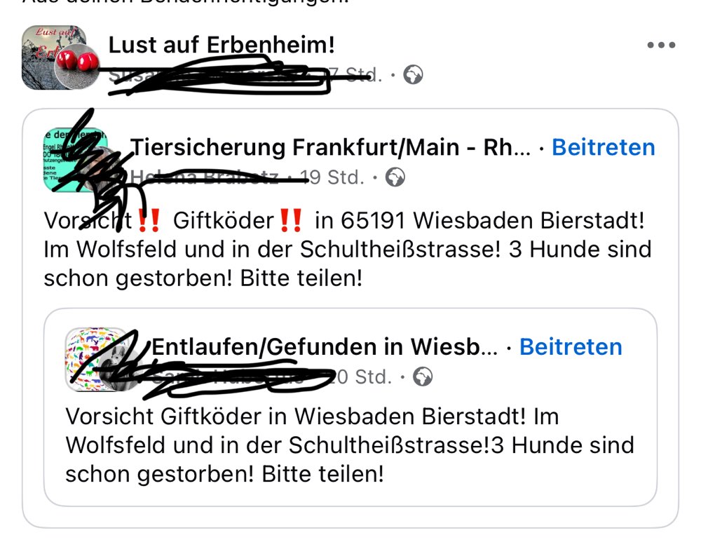 Giftköder-Giftköder ! Achtung !-Profilbild