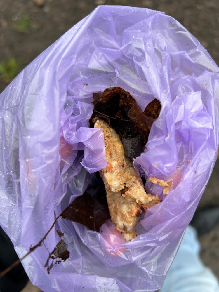 Giftköder-Gift? Essensreste in Mendelssohnstraße-Profilbild