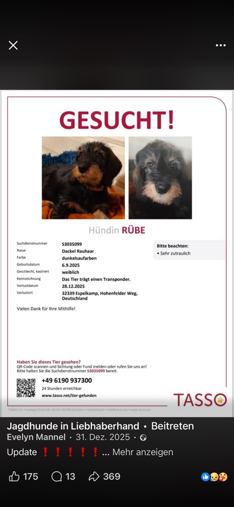 Suchmeldung-Rübe-Profilbild