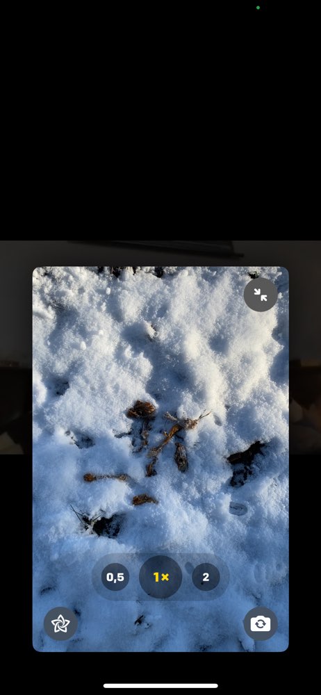 Giftköder-Hähnchen-Profilbild