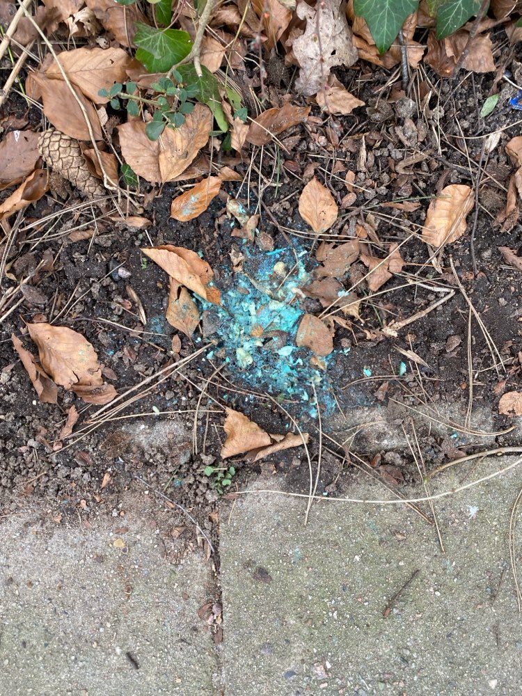 Giftköder-Schneckenkorn-Profilbild