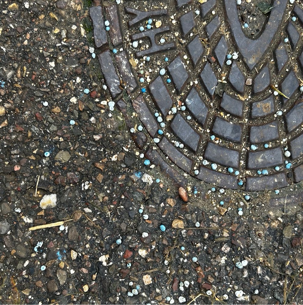 Giftköder-Giftköder Schneckenkorn-Profilbild