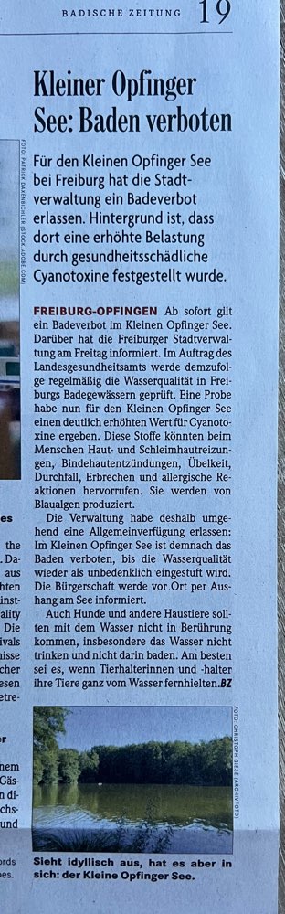 Giftköder-Blaualgen/Cyanobakterien-Profilbild