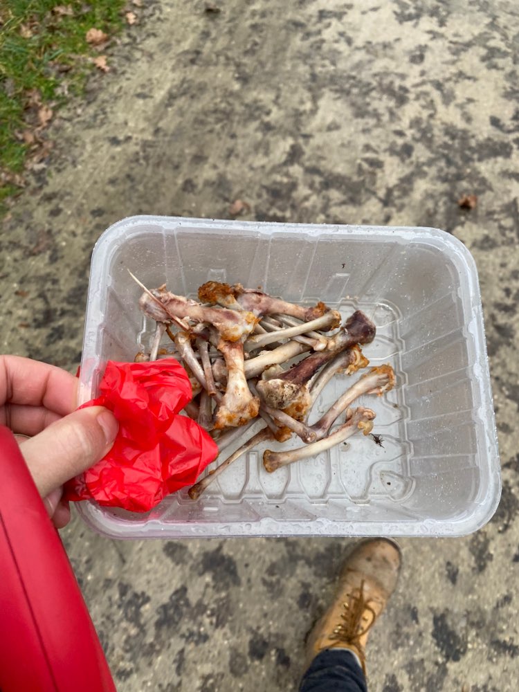 Giftköder-Knochen- und Wurstreste-Profilbild