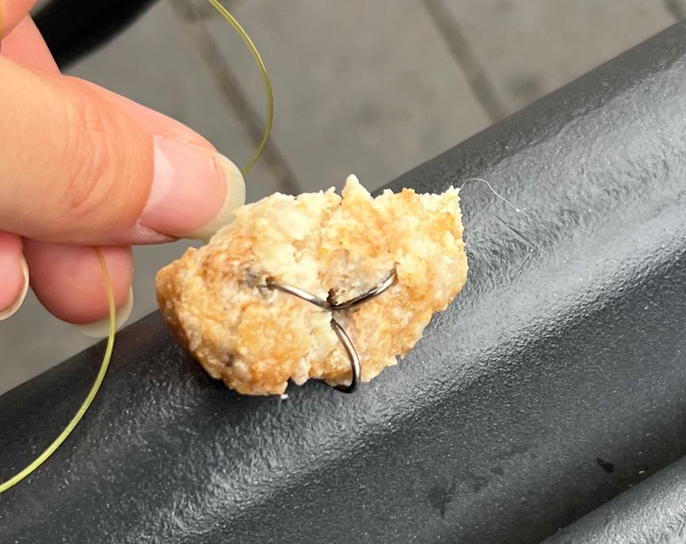 Giftköder-Angelhaken mit Futterstück/Köder-Profilbild