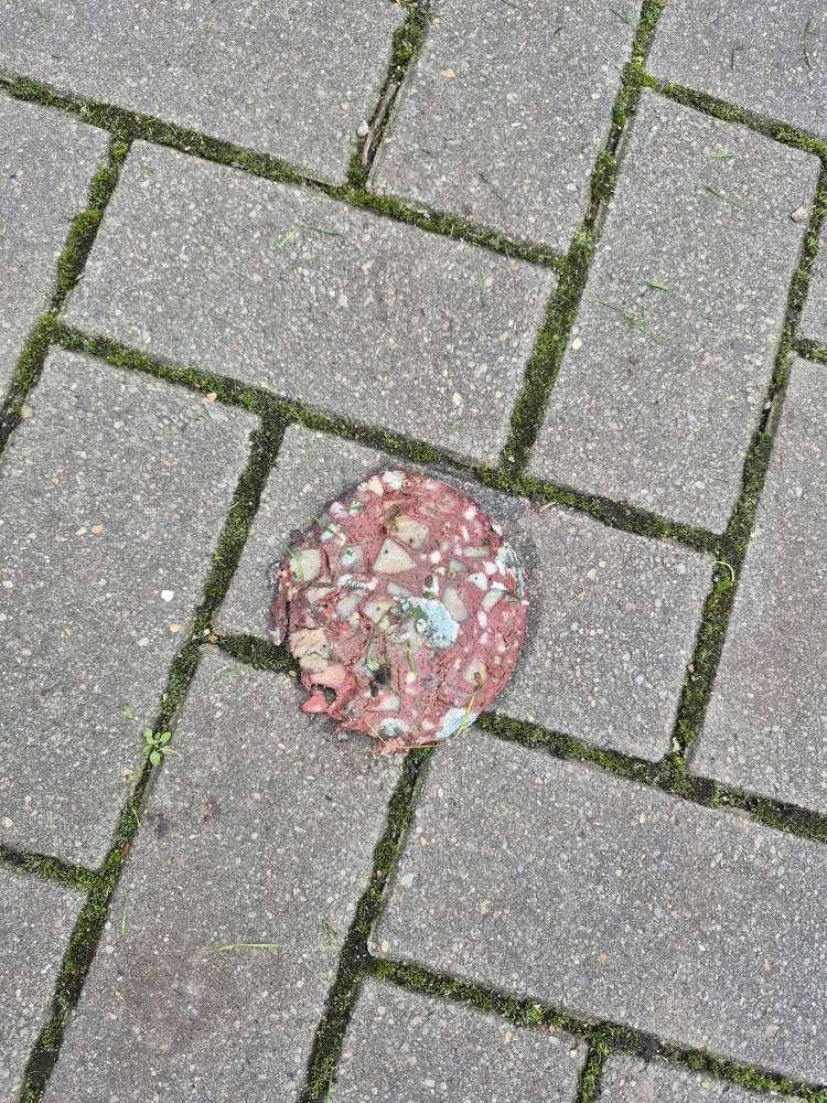 Giftköder-Wurstscheiben mit Grünlichem Inhalt-Profilbild
